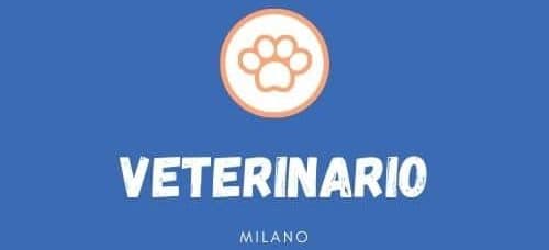 scritta veterinario in stampatello bianca su sfondo blu chiaro e sopra impronta di zampa stilizzata arancione in un cerchio bianco